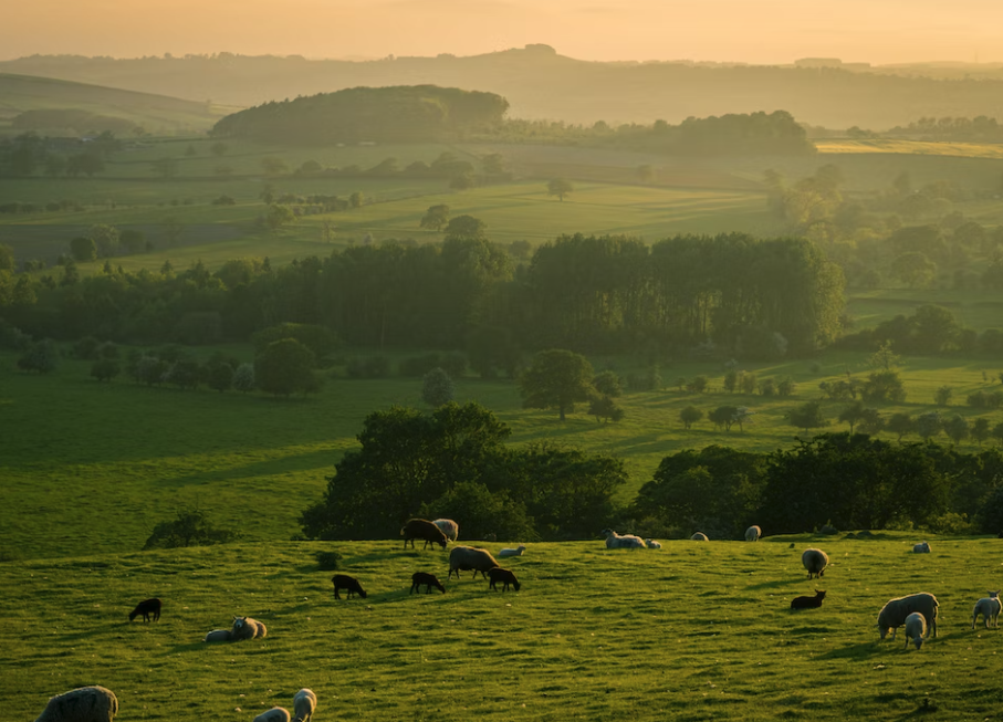 Revolutionizing the Logistics Industry An Insight into 3PL Operations